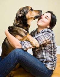 pet wellness