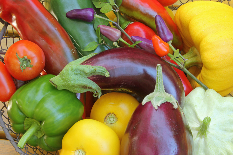Nightshade vegetables