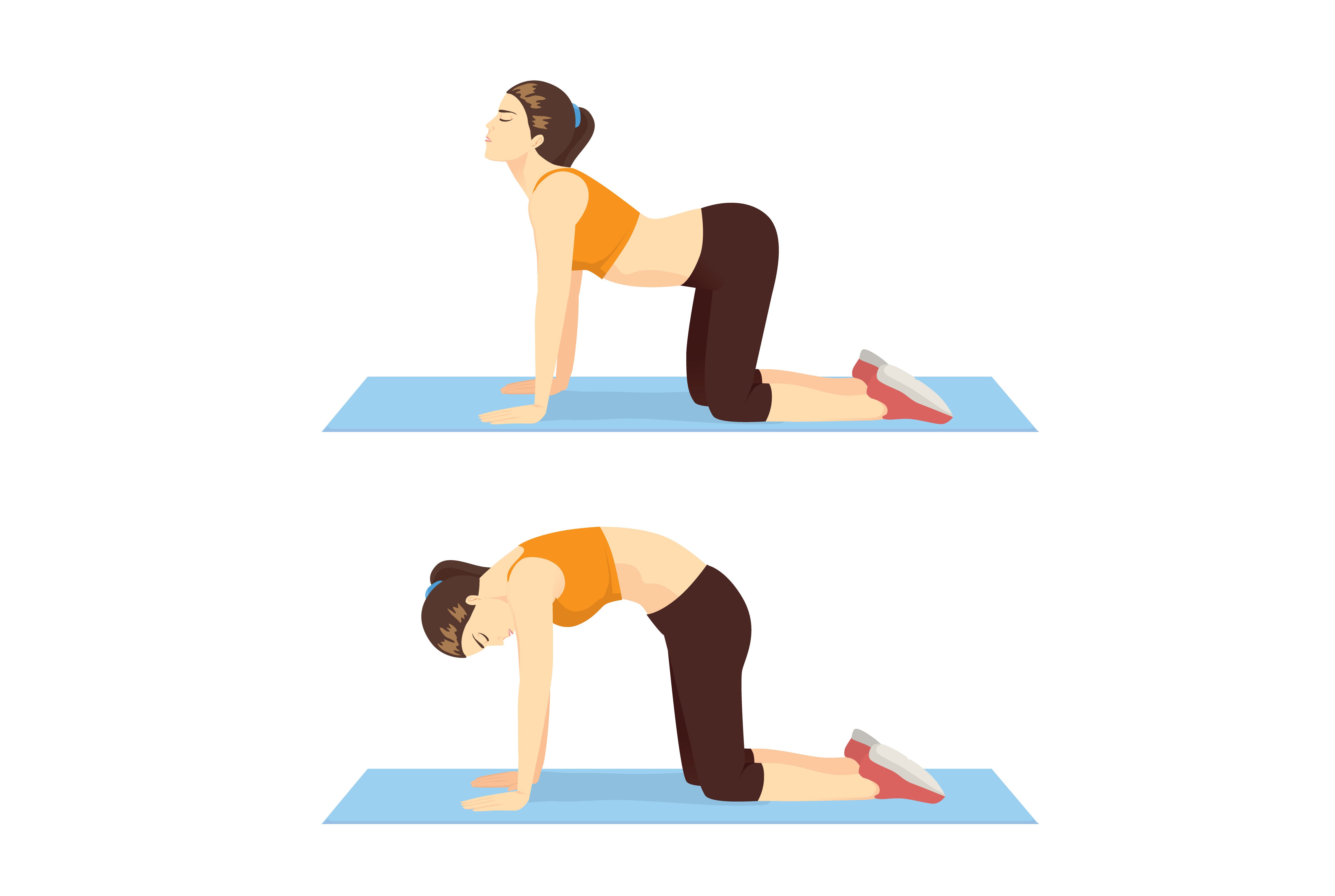 Cat cow stretch